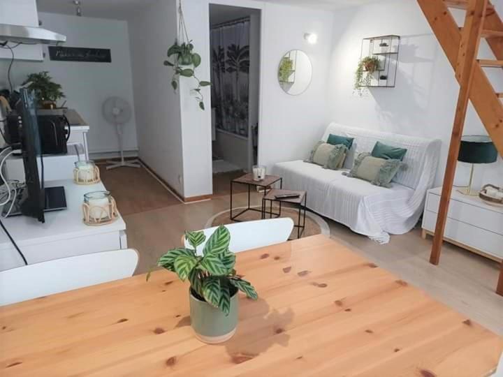 Duplex A La Gare Du Mans Bed & Breakfast Le Mans Dış mekan fotoğraf